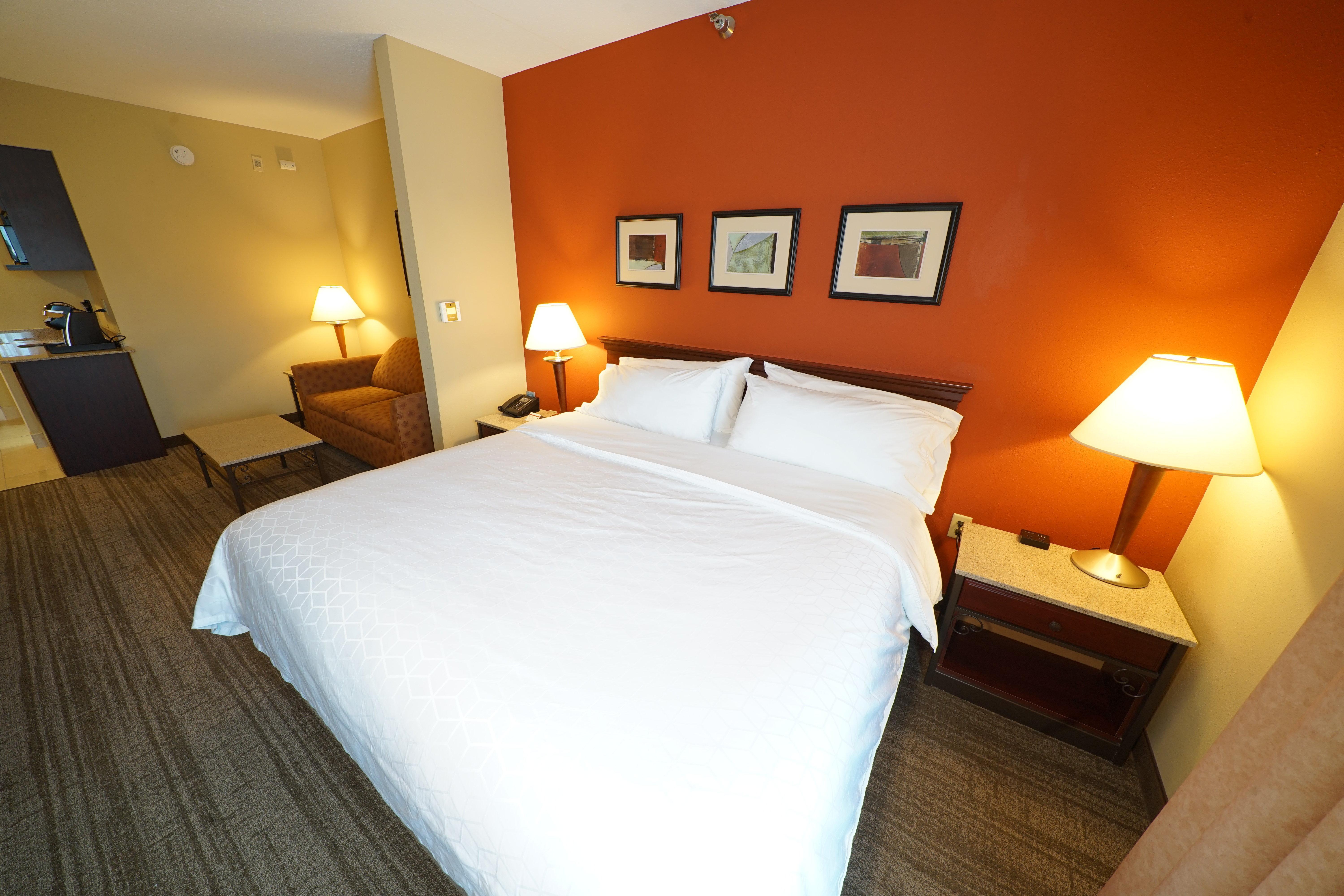 Holiday Inn Express Hotel & Suites Tampa-Oldsmar, An Ihg Hotel Buitenkant foto