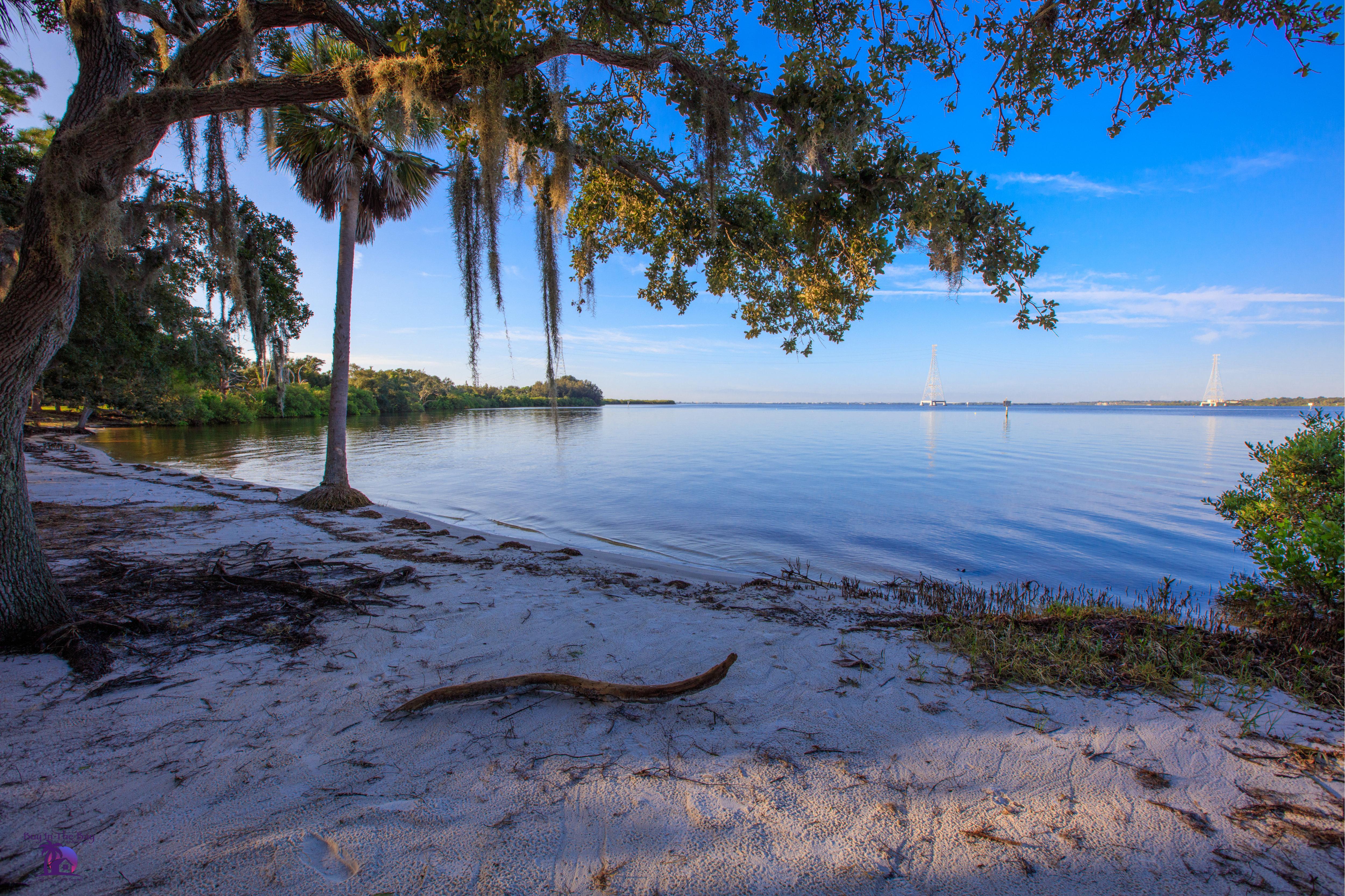 Holiday Inn Express Hotel & Suites Tampa-Oldsmar, An Ihg Hotel Buitenkant foto