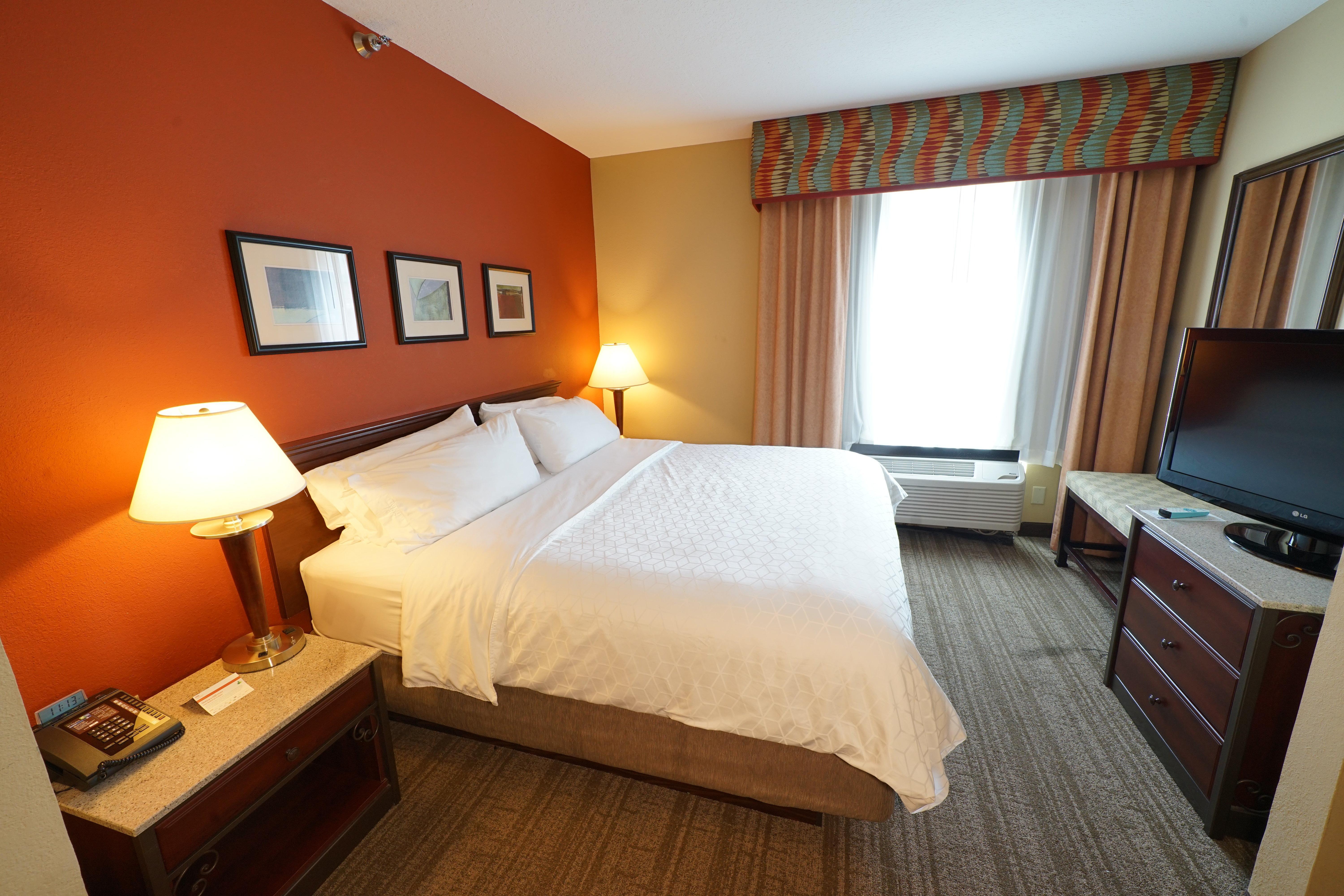 Holiday Inn Express Hotel & Suites Tampa-Oldsmar, An Ihg Hotel Buitenkant foto